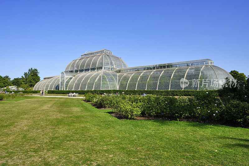 Royal Botanic Gardens, Kew棕榈屋透视图
